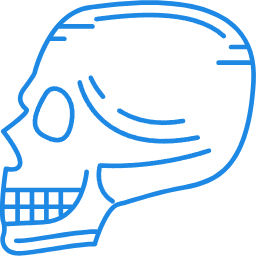 پروتز های صورت